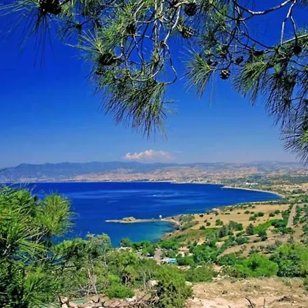 Villa Luxury 4 Bedroom With Private Pool, 1226 Protaras